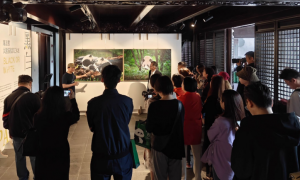 周孟棋摄影艺术展《不止黑白》：推动大熊猫文化与保护意识的全球传递